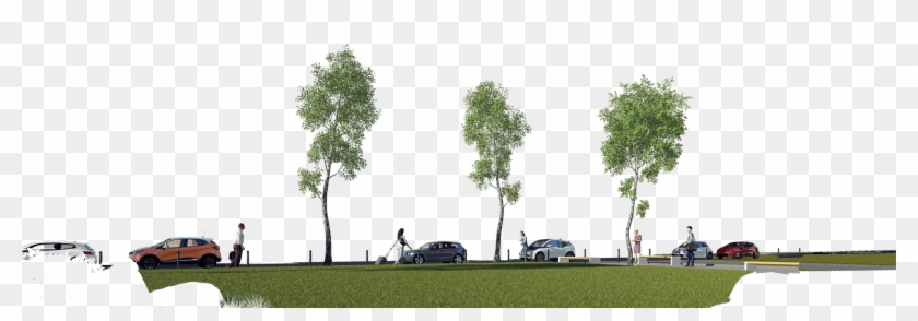 Artlantis - Tree Clipart