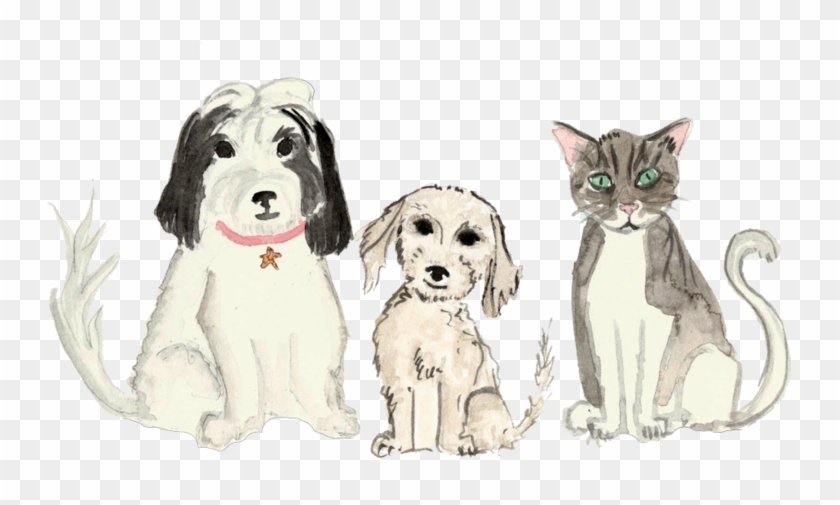 Pets - Cocker Spaniel Clipart #3038957