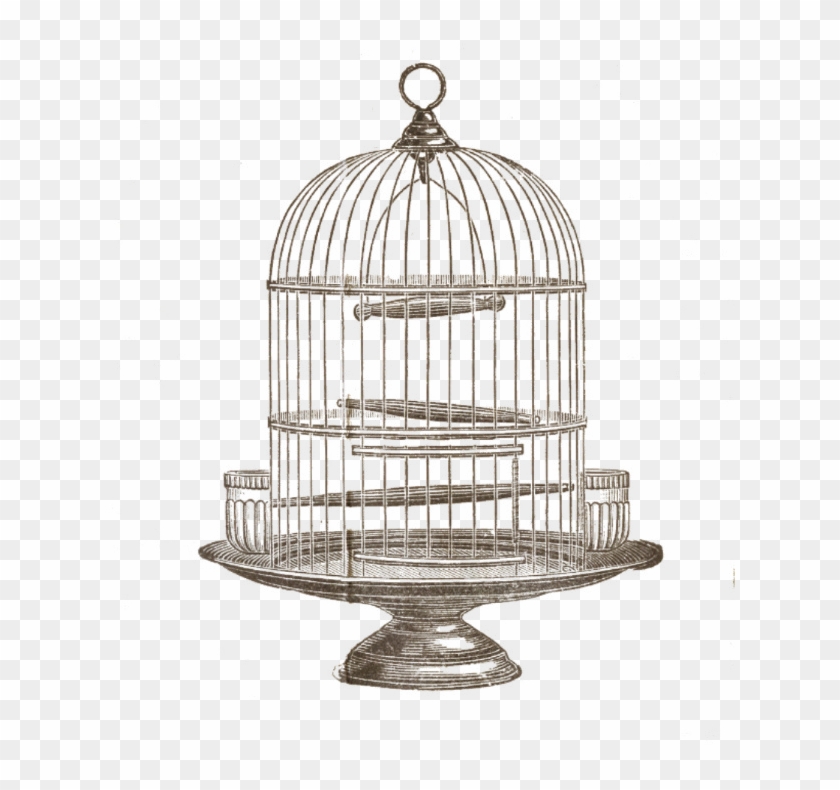 Vintage Birdcage Png - Trifles Play Bird Cage Clipart