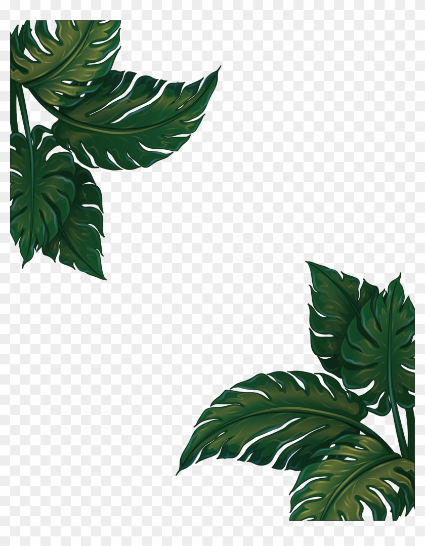 Leaf Musa Euclidean Vector Green Frame Basjoo Clipart - Banana Tree Leaves Png Transparent Png