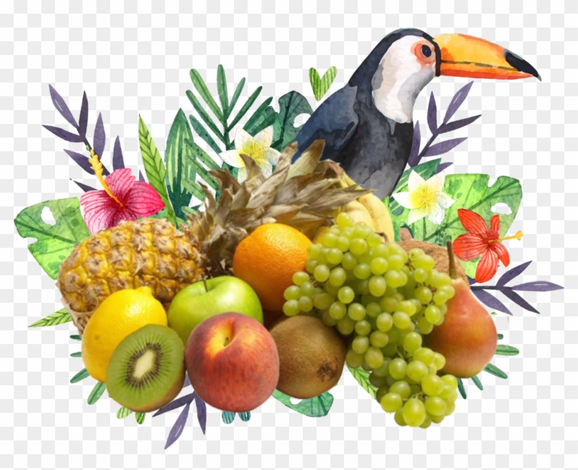 #tropicalstickers #freetoedit #frutas - Flower And Fauna Watercolor Clipart