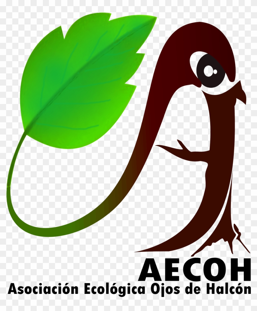 File - Aecoh - Cartoon Clipart #3040084