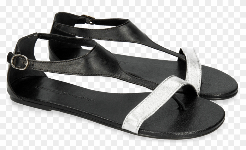 Sandals Collete 4 Talca Silver Salerno Black - Fisherman Sandal Clipart
