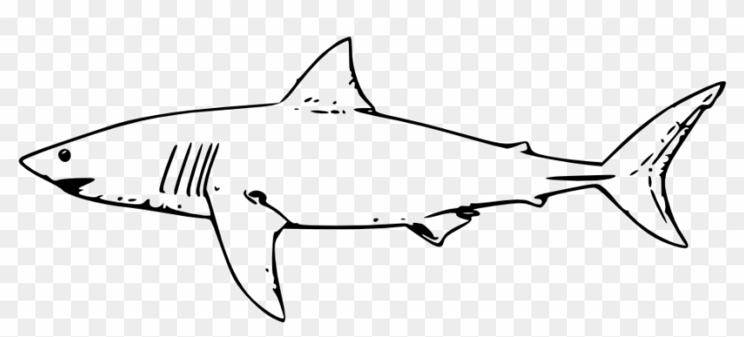 Shark Outline Png - Shark Black And White Clipart Transparent Png #3040704