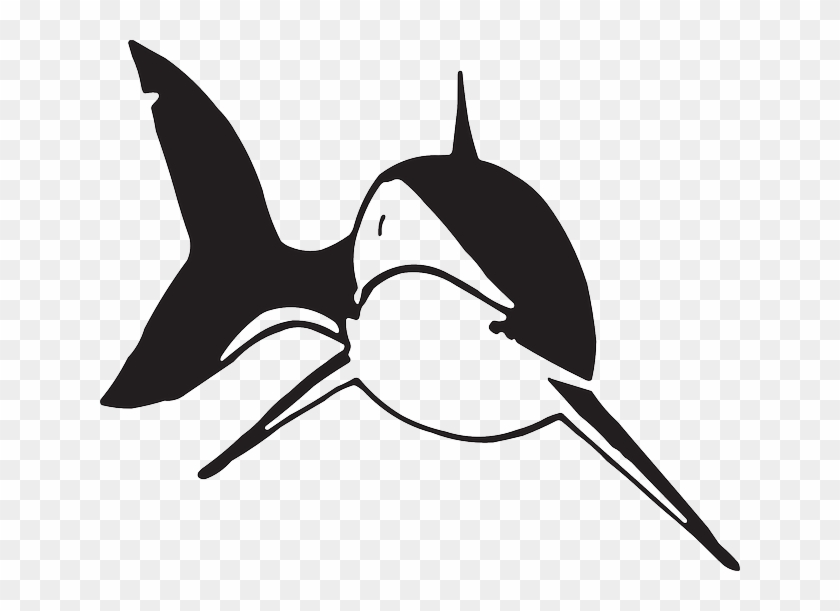 Shark Clipart