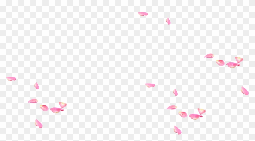 Falling Transparent Petals - 花瓣 飘落 Clipart #3040937