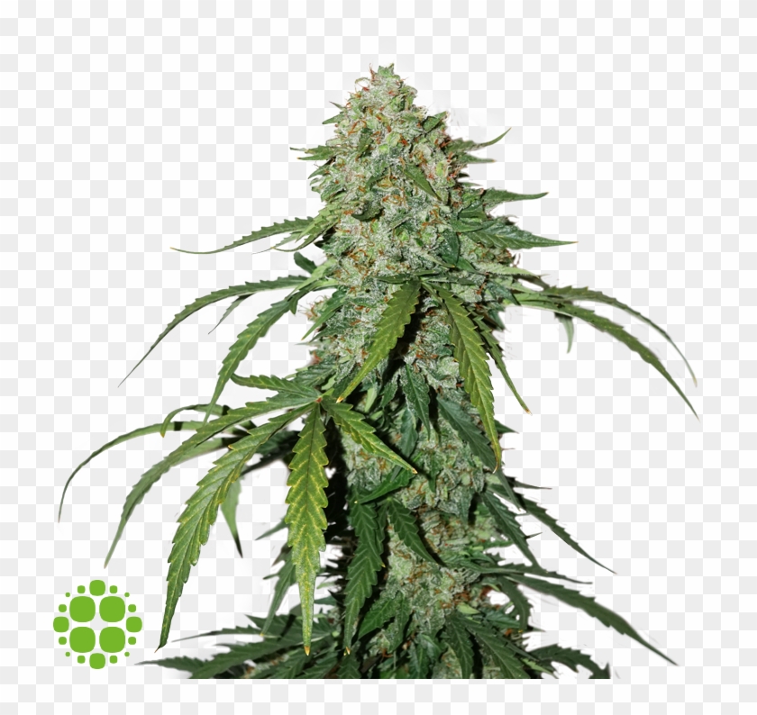 Image - Haze Clipart #3040938