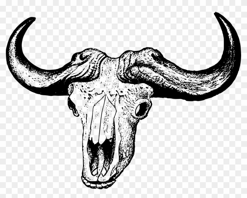 Africa Bovine Buffalo Skull Png Image - African Buffalo Skull Clipart #3041042