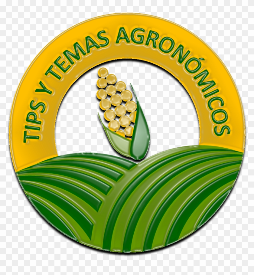 Peri&243dico El Campesino Clipart