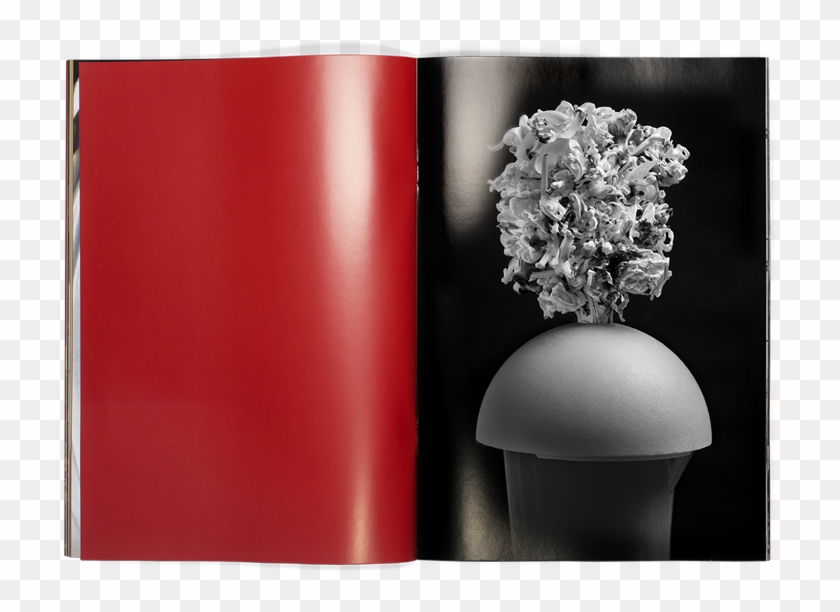 Vendula Knopova - Hydrangea Clipart