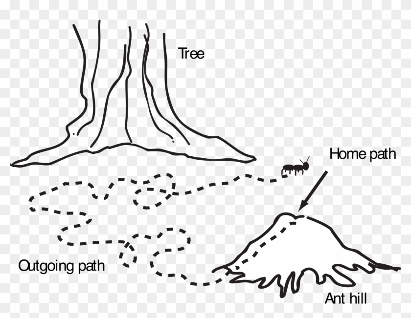 This Free Icons Png Design Of Ant Navigation Map - Ant Home Clipart Black And White Transparent Png