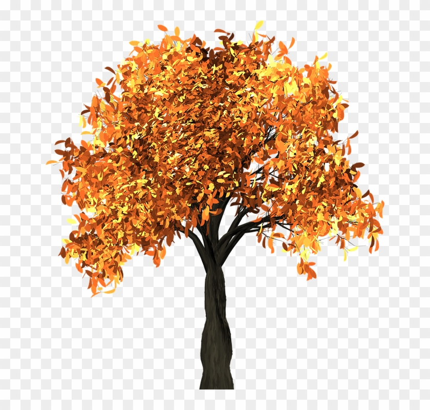 File Rec - Animated Autumn Tree Png Clipart