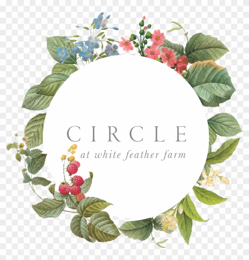Circle Clipart