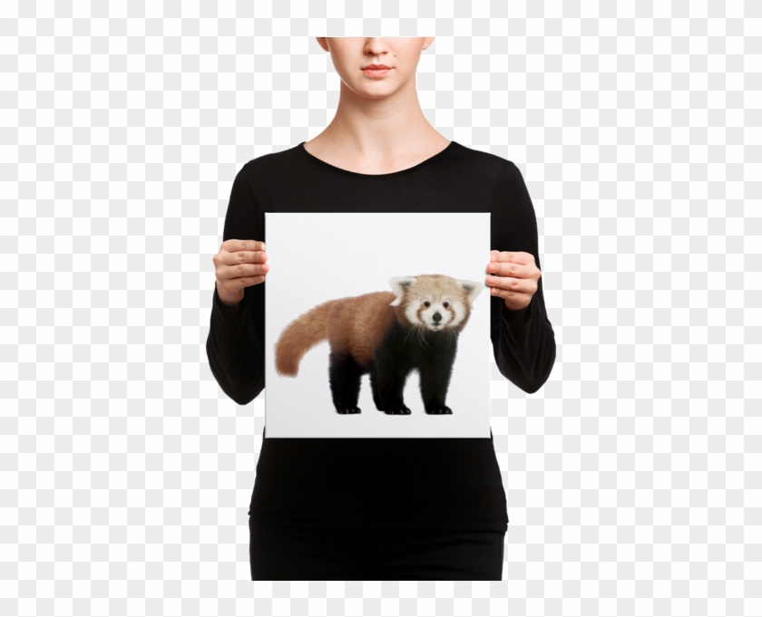 Canvas Clipart #3044688