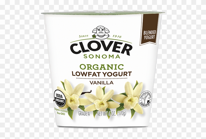 Organic Low Fat Vanilla Bean Yogurt - Clover Yogurt Low Fat Clipart
