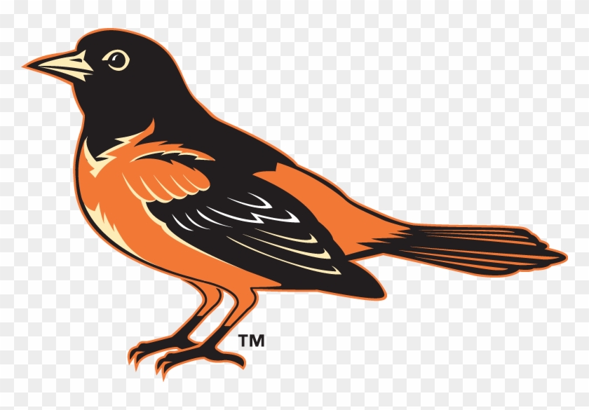 Baltimore Orioles Lifelike Bird Hat Logo - Baltimore Oriole Clip Art - Png Download