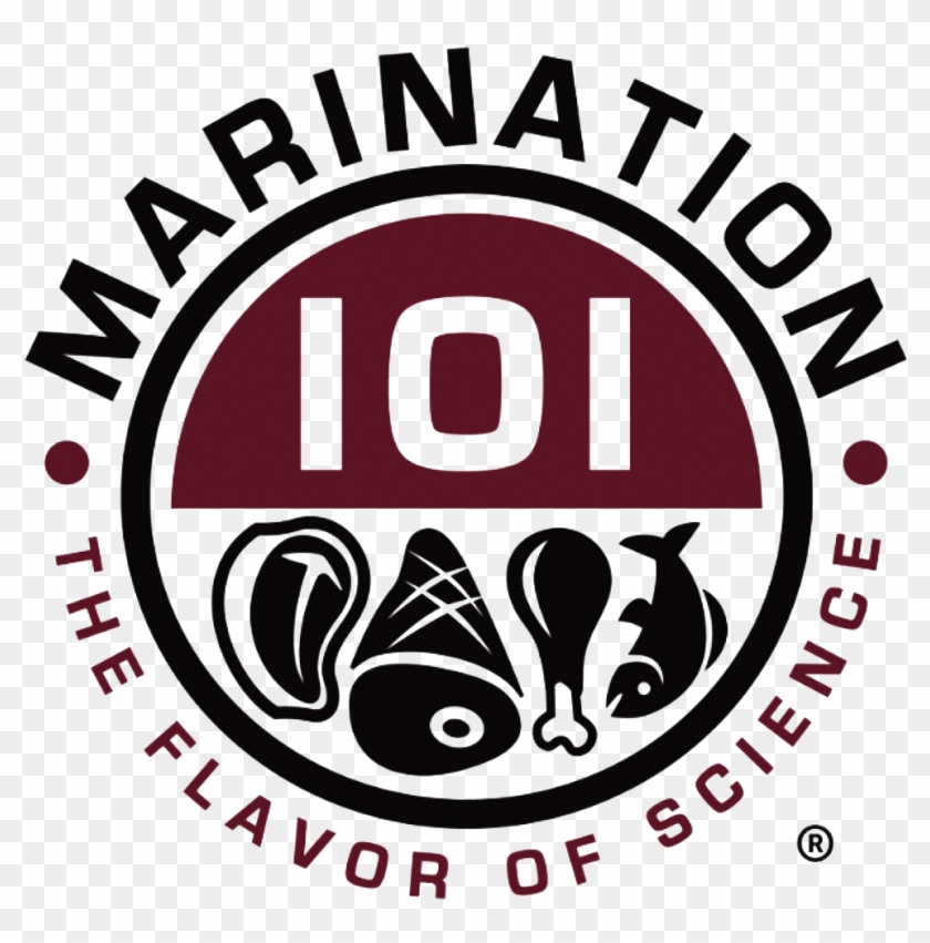 Circle Clipart #3046594