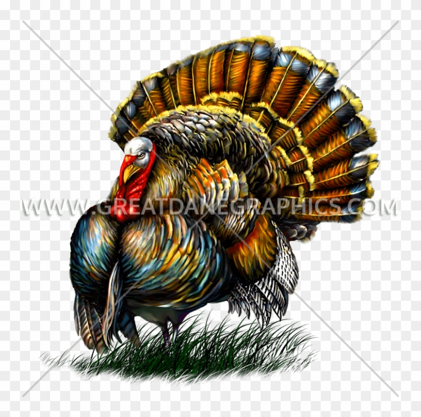 Pin Turkey Clipart Transparent Background - Illustration - Png Download #3046933