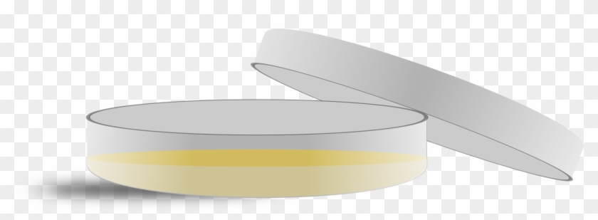 Petri Dishes Agar Plate Microbiology Cell Culture - Petri Dishes Clipart - Png Download