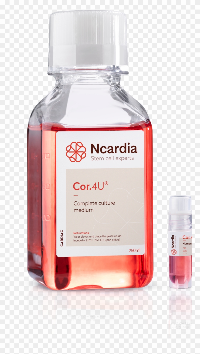 Advantages Of Cor Plastic Bottle Clipart (3048308) PikPng