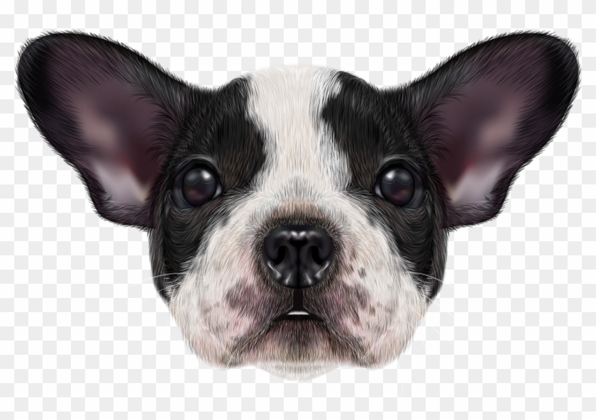French Bulldog Png Image - Bulldog Clipart #3049579
