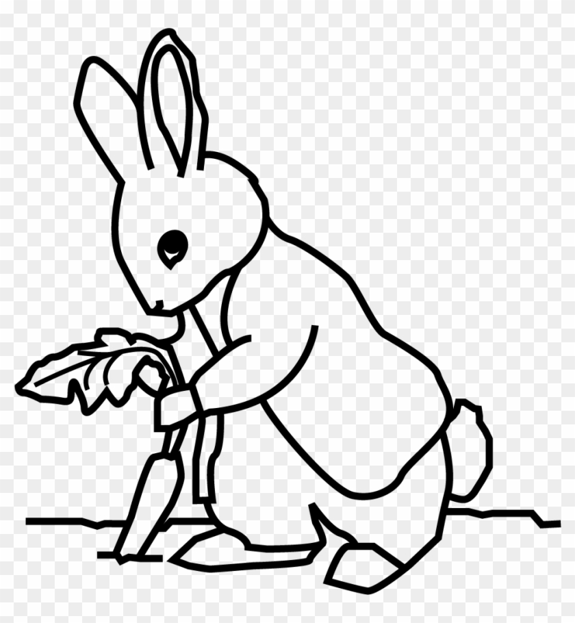 Download Peter Rabbit Cartoon Clipart 3051801 Pikpng