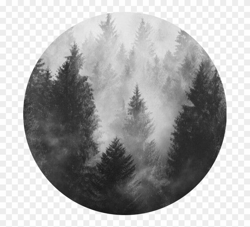 #circle #grey #aesthetic #freetoedit - Grey Aesthetic Clipart