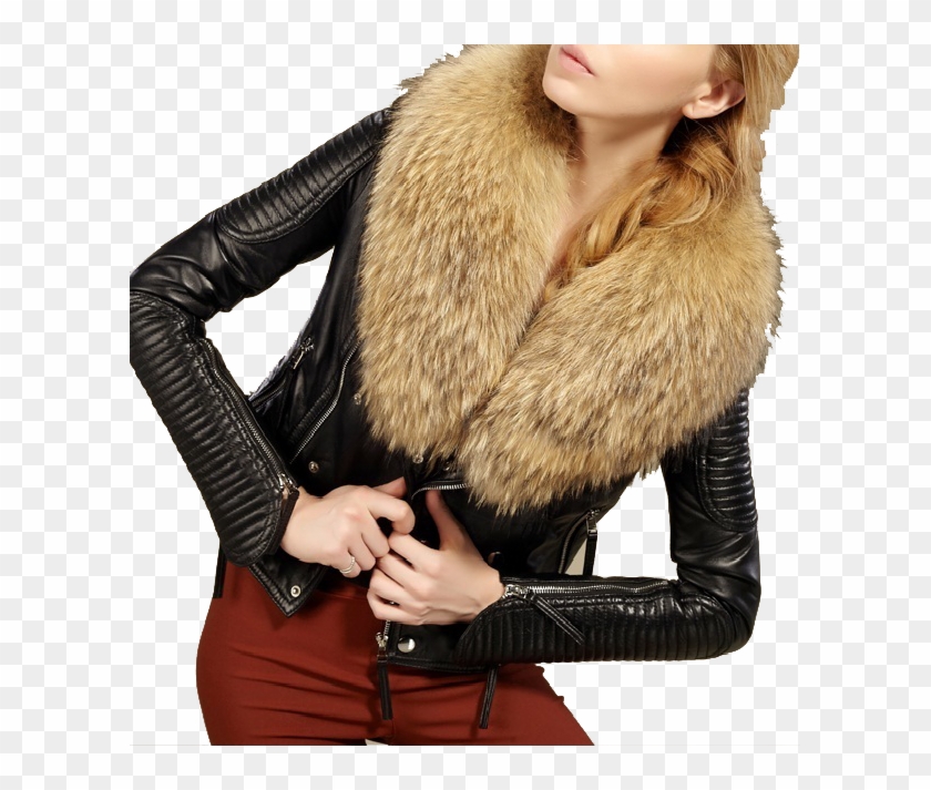 Fur Clothing Clipart