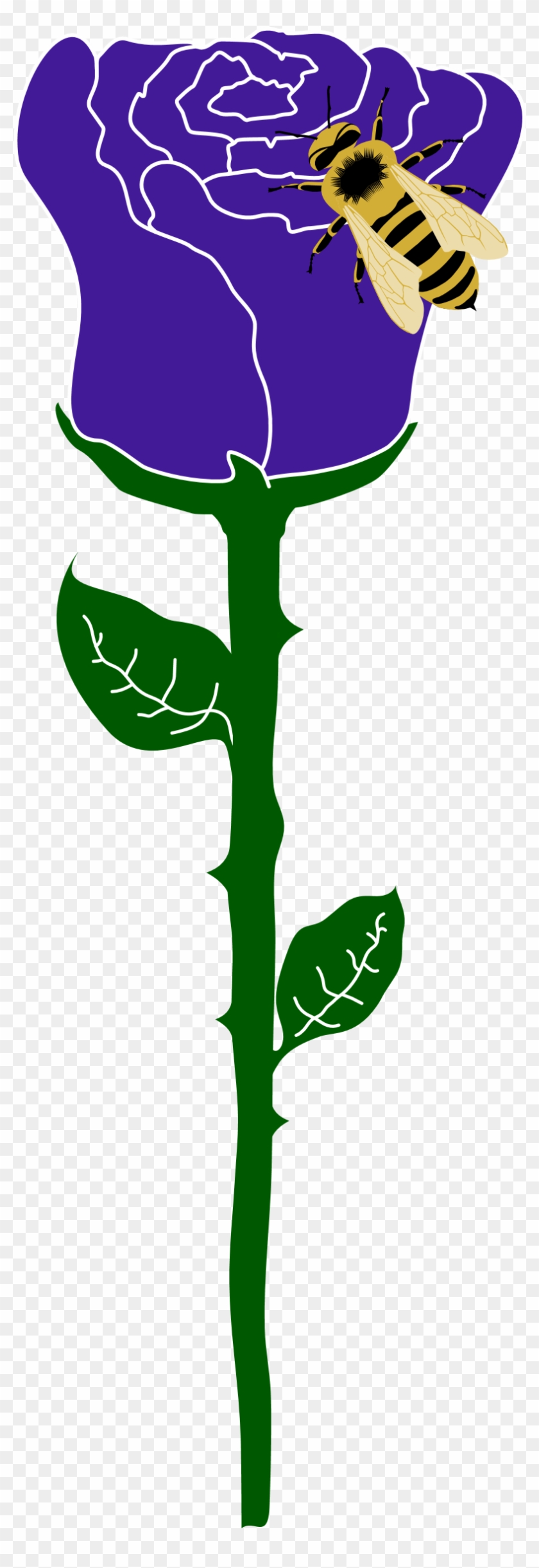 Pablo - Rose Clipart