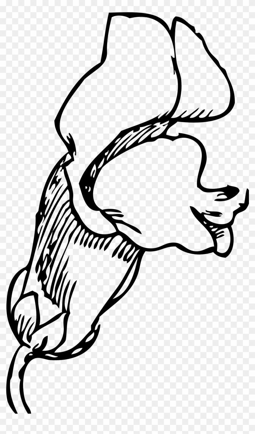 Snapdragon Flower Tattoo - Snapdragons Flower Drawing Clipart #3055639