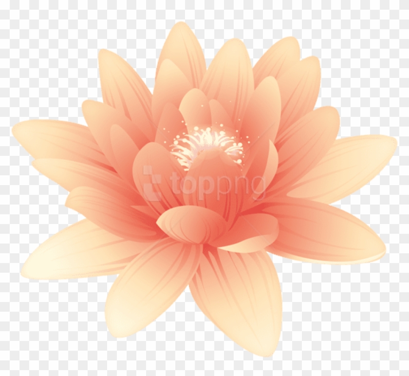 Free Png Download Flower Orange Png Images Background - Sacred Lotus Clipart #3055972