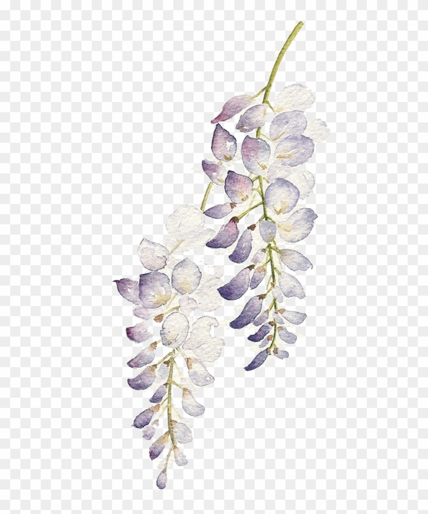 Graphic Flowers Watercolour Painting Purple Flower - Flowers Watercolor Purple Png Clipart