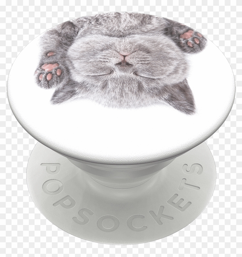 Cat Nap Popsockets Popgrip Png Transparent Png White - Popsocket Katze Clipart #3056208
