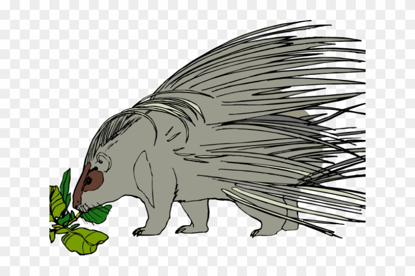 Porcupine Clipart Amimal - Cartoon - Png Download #3056552