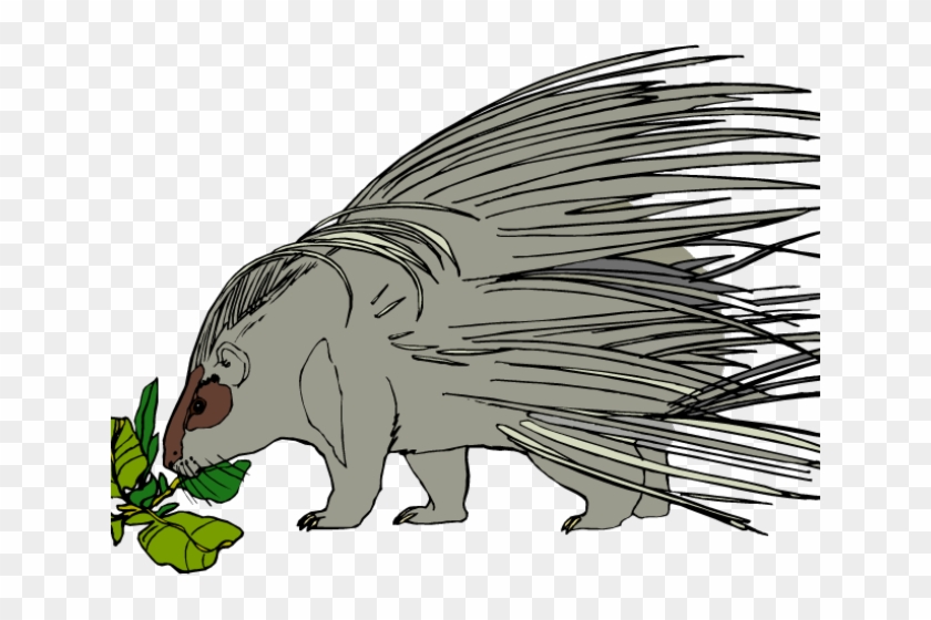 Porcupine Clipart Amimal - Cartoon - Png Download