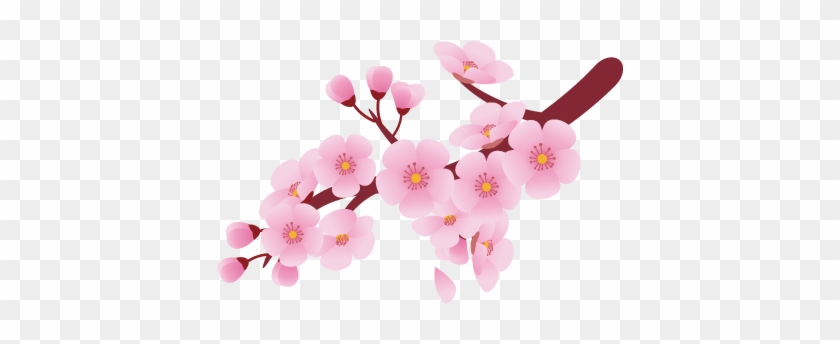 Flower Clip Art - Cherry Blossoms Clip Art - Png Download