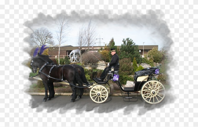 Queen Victorian Carriage Clipart #3056694