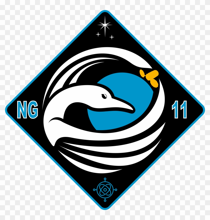 Patch Png Transparent Background - Cygnus Ng 11 Clipart #3056998