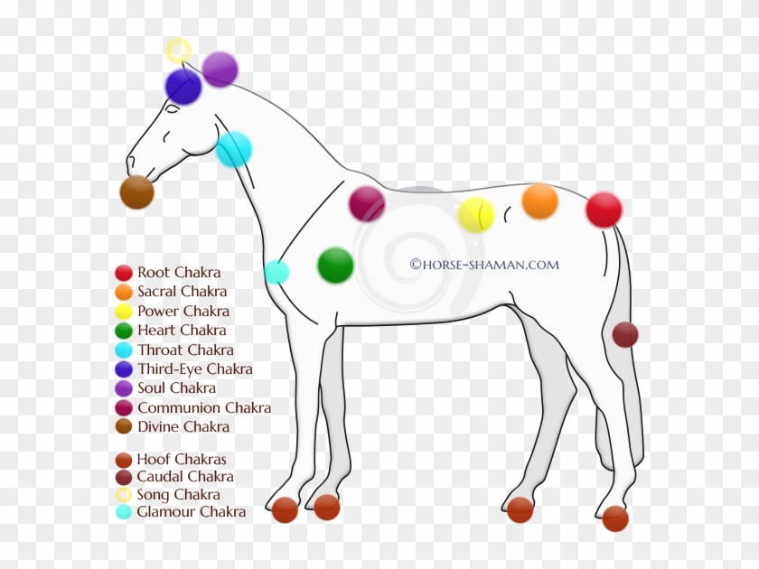 Part - Chakras On A Horse Clipart #3057082
