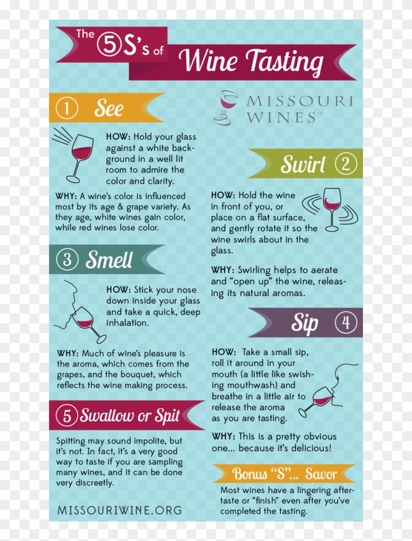 Tasting Wine Is Simple With The 5s Method - Brochure Clipart
