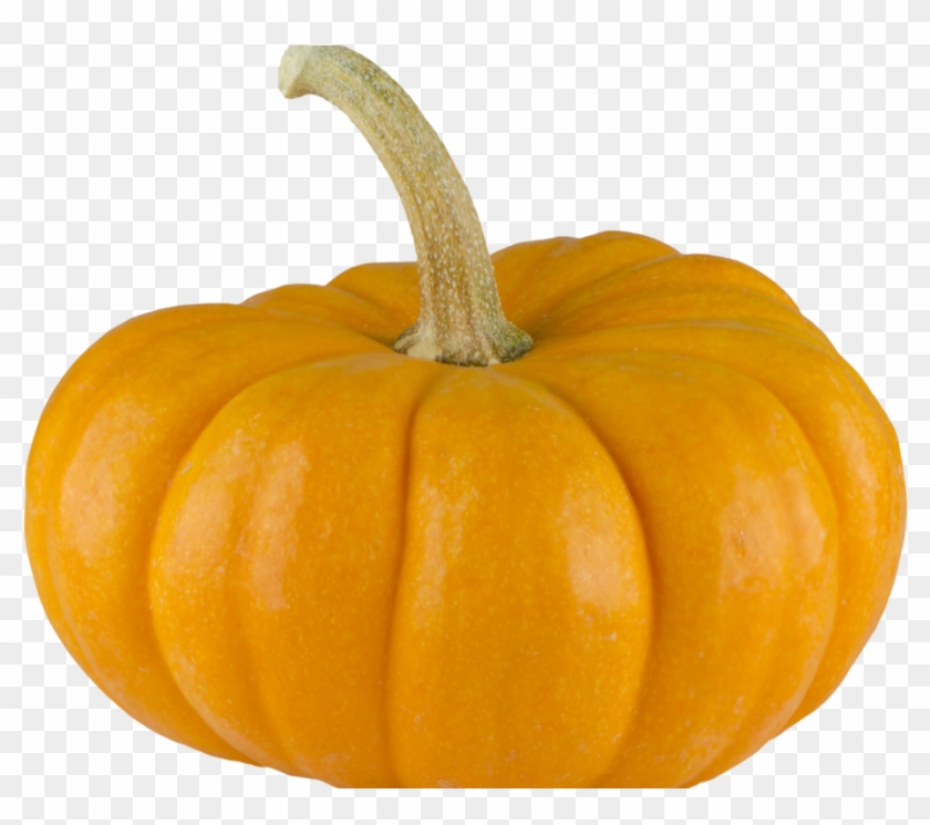 Pumpkin Png Image - Pumpkin Clipart