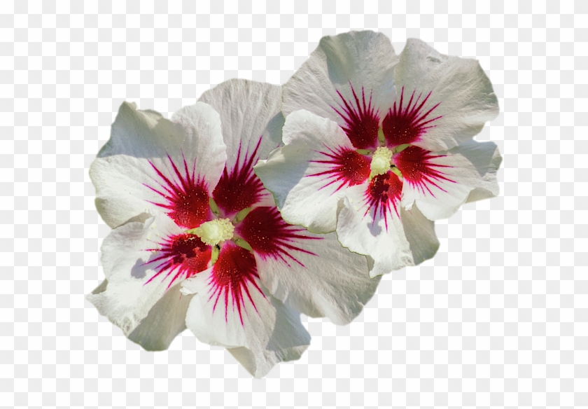 Click And Drag To Re-position The Image, If Desired - Mountain Garland Clipart #3058442