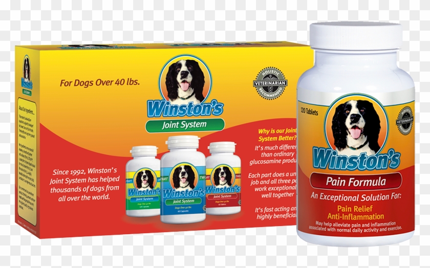 The - Arthritis Clipart #3059383