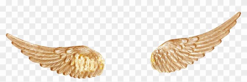 Gold, Wing, Encapsulated Postscript, Body Jewelry Png - Gold Angel Wing Clipart Transparent Png