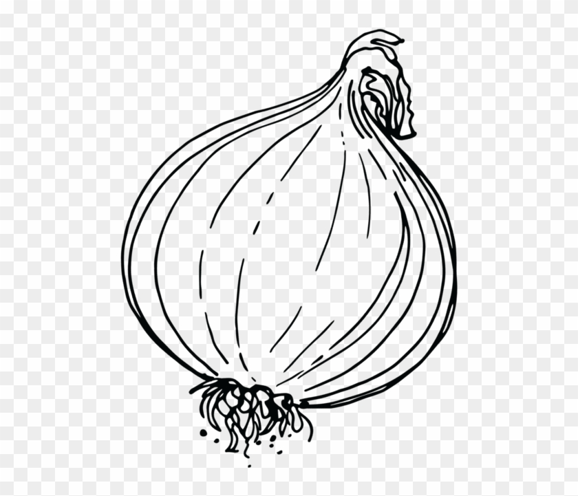 Shallot Clipart