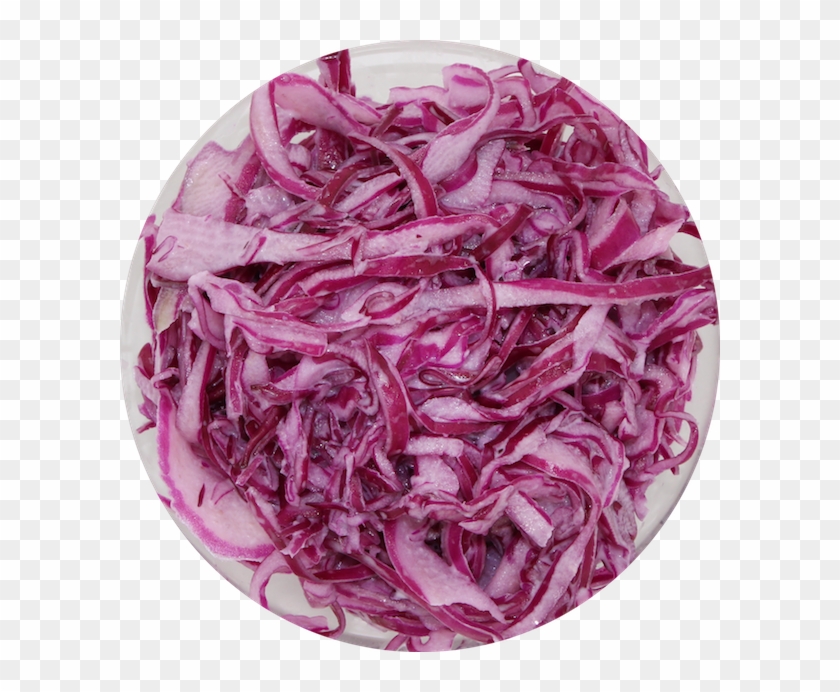Cabbage Slaw - Red Cabbage Clipart