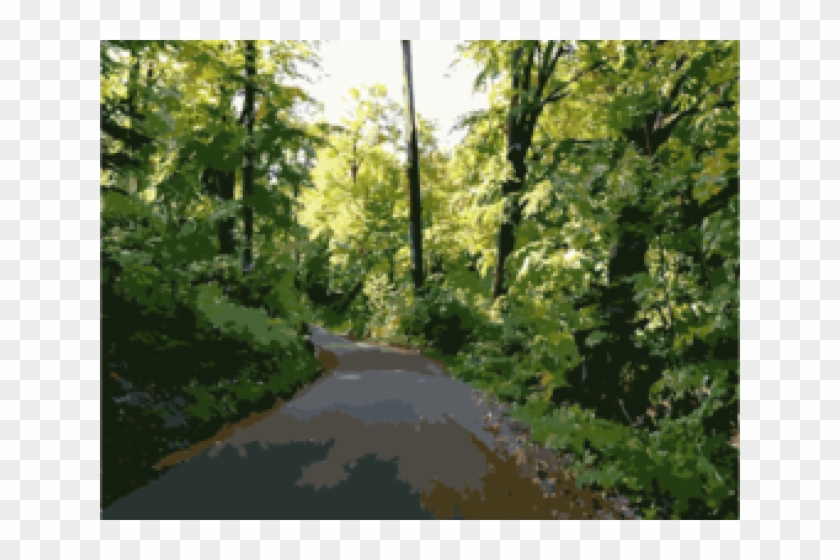 Wilderness Clipart Forrest Tree - Dirt Road - Png Download