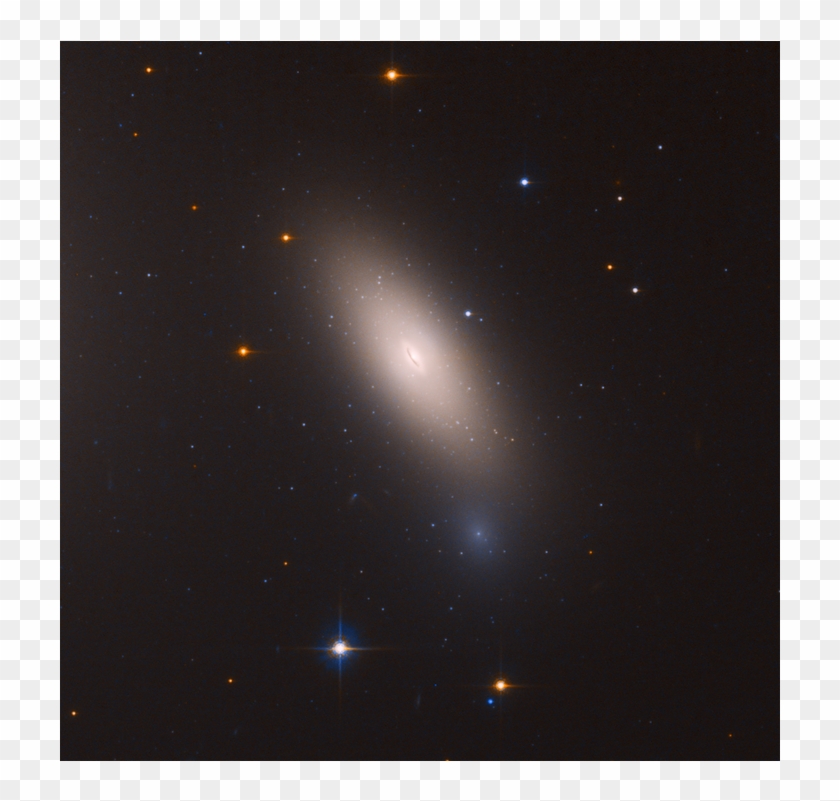 Newswise-fullscreen Arrested Development - Star Clipart #3063292