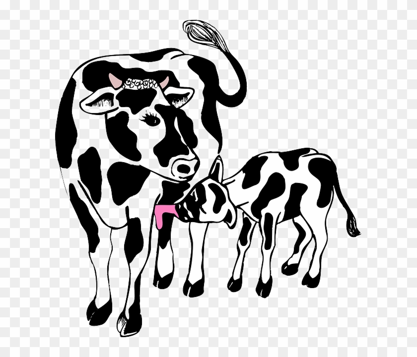 Cow Clipart Mother And Baby - Cow And Calf Cartoon - Png Download #3065290