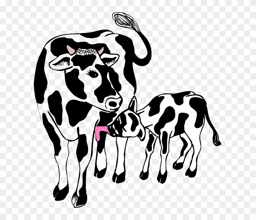 Cow Clipart Mother And Baby - Cow And Calf Cartoon - Png Download